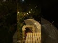 أستغفروا ربكم شريف مصطفى