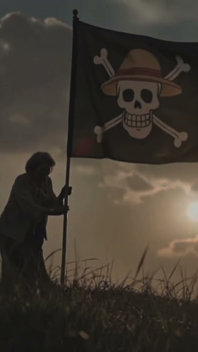 ada apa dengan bendera One piece #storywa #adaapahariini #onepiece