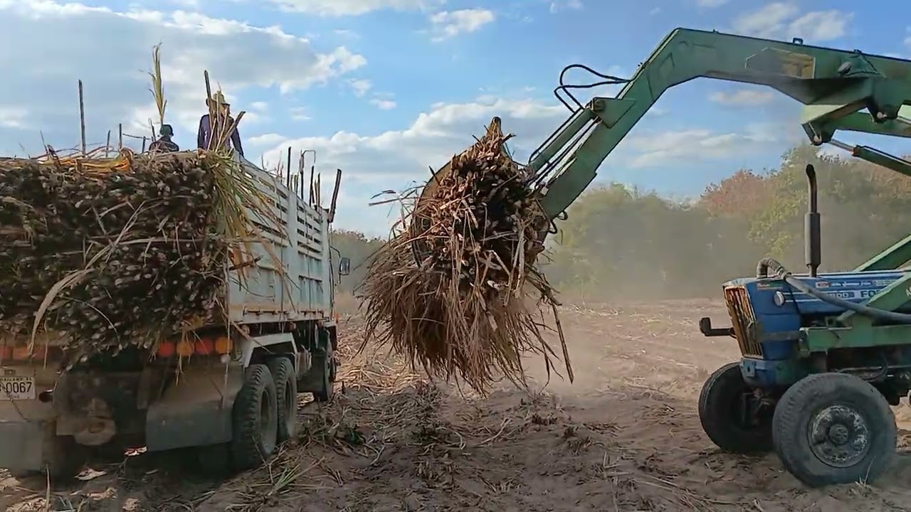 บิวบองเจอหนื่งต่อสอง