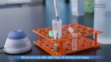 Aflatoxin B1 ELISA Rapid Test Kit