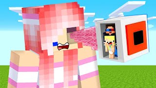 :      ? MINECRAFT