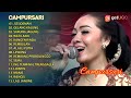 Download Lagu Langgam Campursari Sesideman  Full Album Lagu Jawa