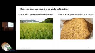 Crop Yield Estimation from Satellite for Tropical Agriculture