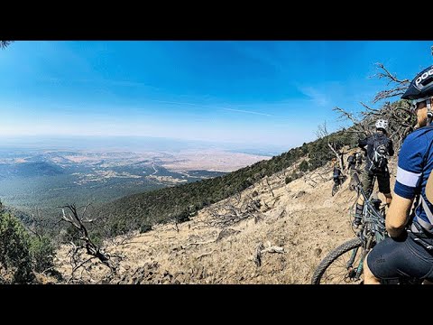 What is the Palisade Plunge? | Introduction & Overview of the Grand Mesa's Legendary 32 Mile Ride