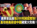 中國的獸醫衛生問題