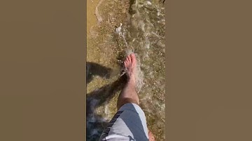 Thumbnail of Song: Epiphany - SheCallsFriends #beach #barcelona #españa #ocean #nature #love #beauty #holiday