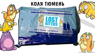 Lost kitties в ПОСЫЛКЕ от ПОДПИСЧИКА! Коля Тюмень