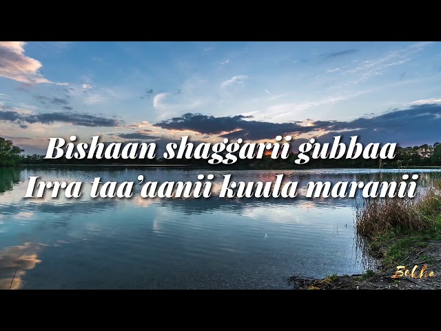 NIGUSUU TAAMMIRAAT - AS KOTTUU - Lyrics class=