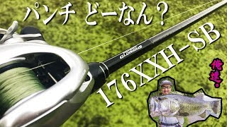 ダウズスイマーシマノ　ポイズングロリアス176XXH SB