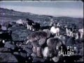 Eskimo summer activities Inuit groups, 1947