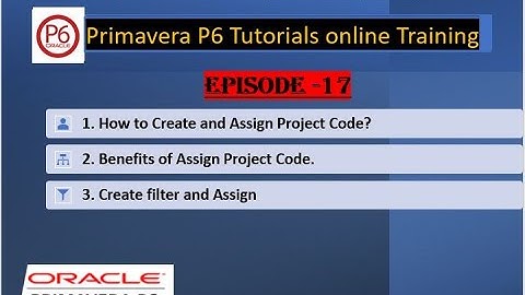 17. Mastering Project Code in Primavera I Revealing the Secret of Primavera P6