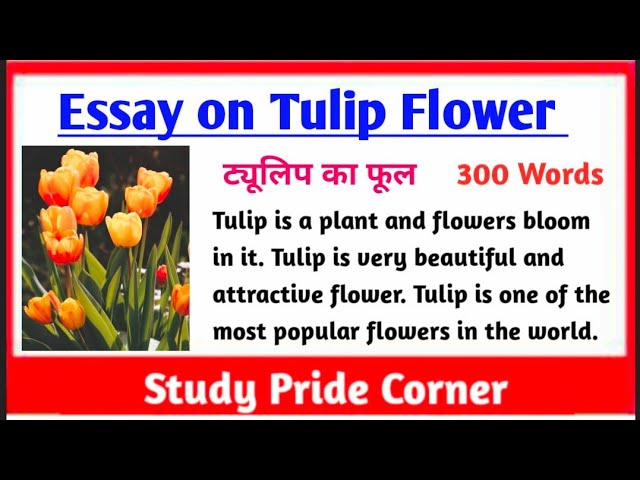 Essay on Tulip | Essay on Tulip Flower | Essay on Tulip Flower in English | Tulip Flower Essay class=