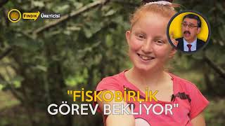 Fındık Gündeminin Haber Başlıkları ve Fındık Fiyatları