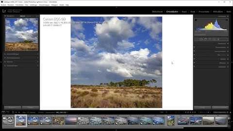 Lightroom Classic | Uiterlijk van interface aanpassen (Dutch)