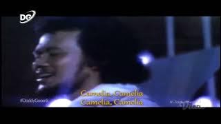 Rhoma Irama - Camelia [HD | Hq stereo] STF Camelia