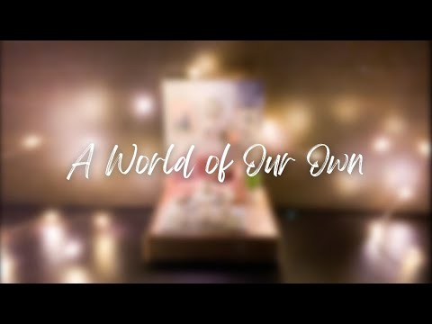A World of Our Own - The Seekers (acoustic cover)