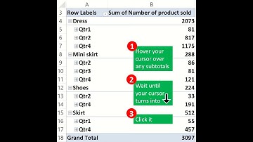 Select And Format All Subtotals Rows In Pivot Table (In Compact Form) | Dollar Excel