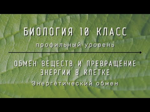 Биология 10 кл Проф уровень §21 Энергетический обмен