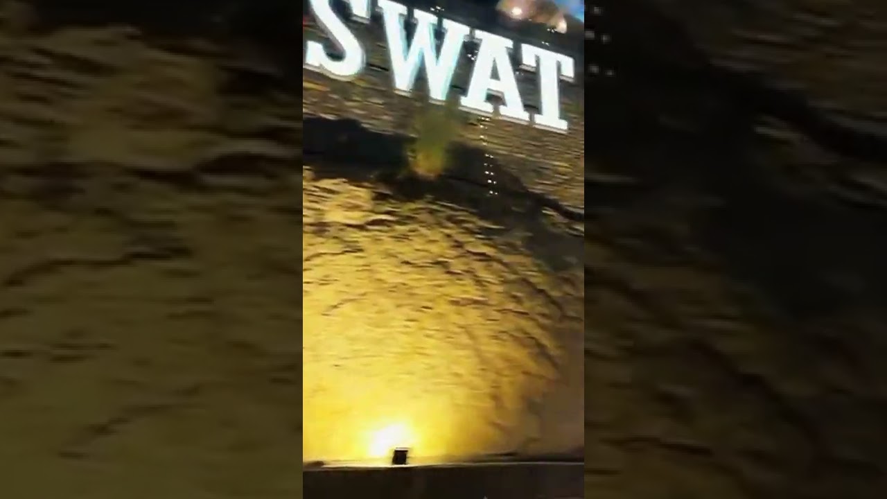 Stop and Shop # Beauty of swat viral