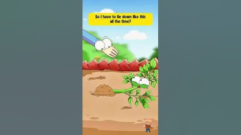Ever seen a farmer intentionally push over their tomato plants?