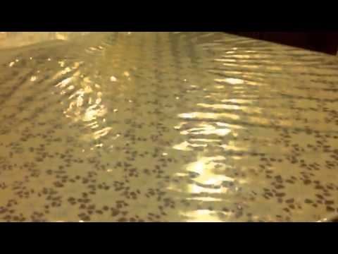 القبضاي حزين