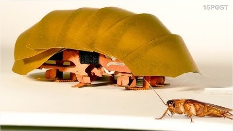 Esta cucaracha es un mini robot que podrá ayudar a salvar vidas - 15 POST