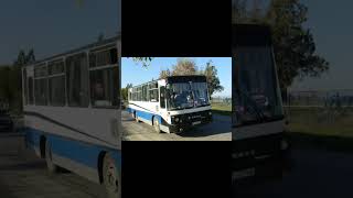autobuze romanesti rocar roman diesel a8