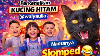 Perkenalkankucing Hitam walyaulia Namanya Si Omped