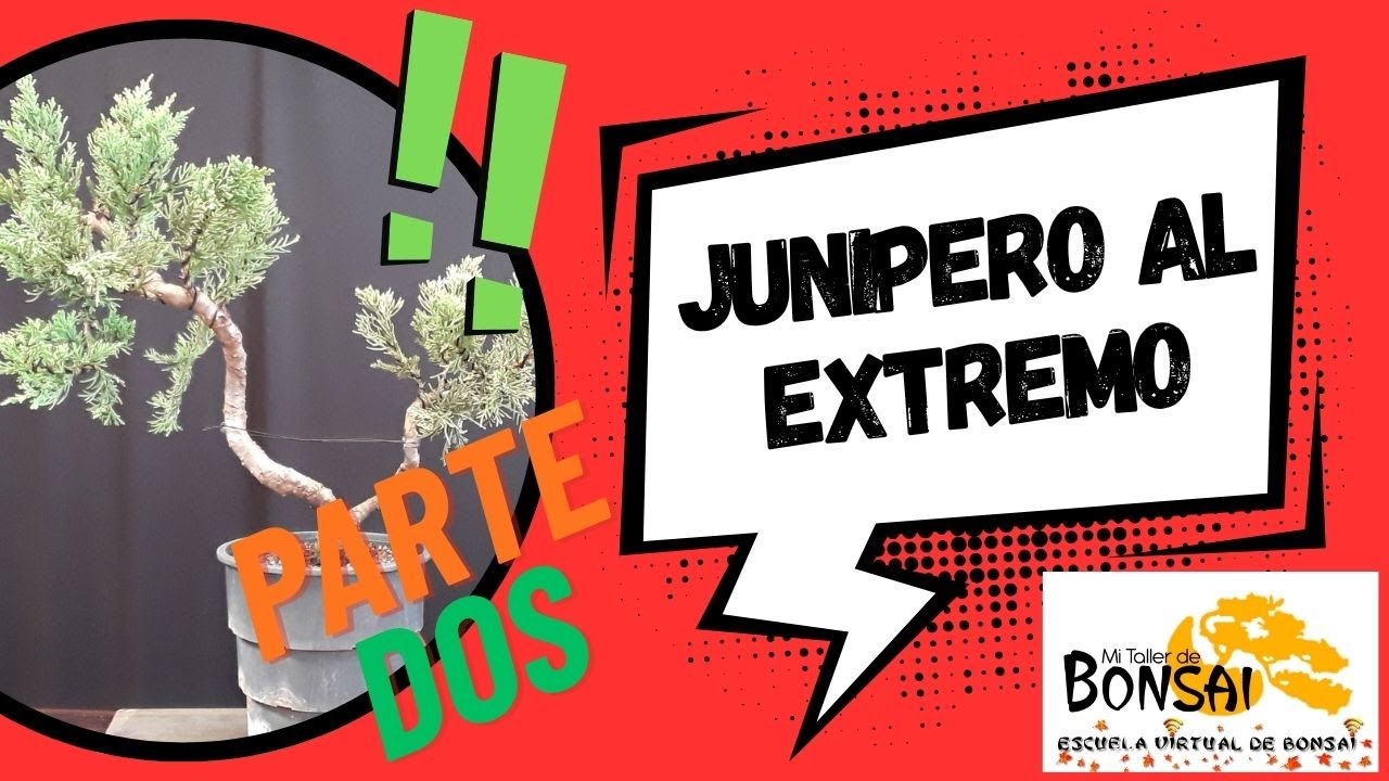 Junipero al EXTREMO parte DOS