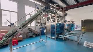 Integrated Small Pouch to Big Bag Automatic Granule Packaging Production Line