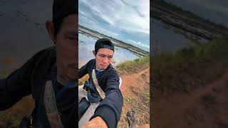 wasiat cintaku .#trisuaka #music #pop #hindisong #hariini