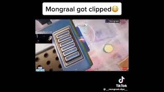 mongrel gets clipped