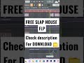 PROFESSIONAL SLAP HOUSE [ Free FLP ] (2022)
