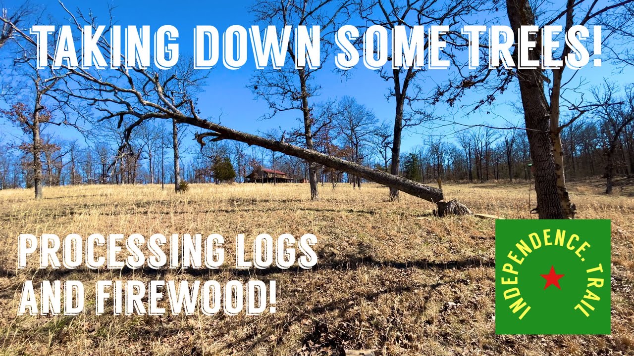 Cutting down a few trees for firewood, posts and lumber. - YouTube