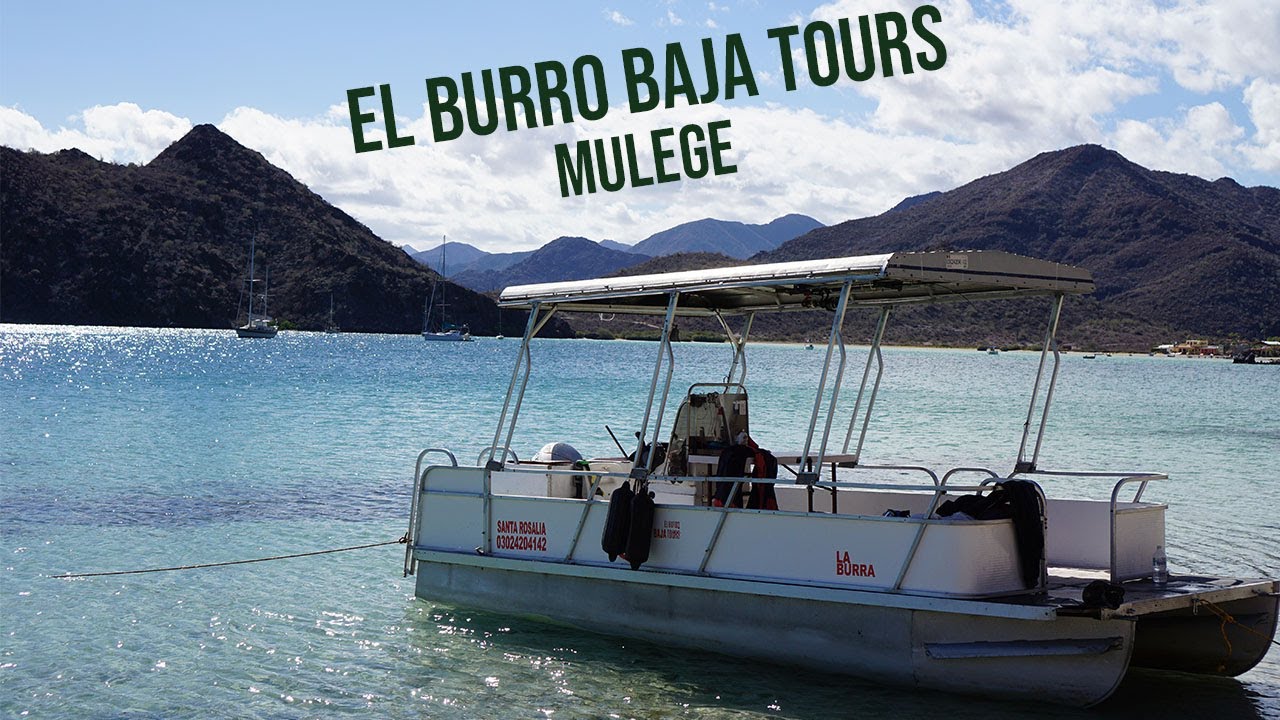 el burro baja tours