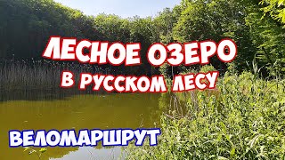 Веломаршрут на Лесное озеро в Русском лесу Ставрополь. Как проехать на велосипедах на Лесное озеро