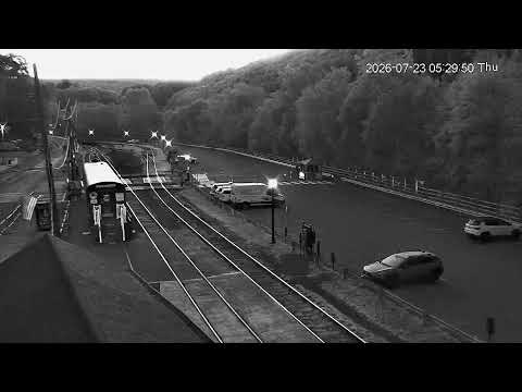 Lehigh Gorge Scenic Railway Station - Live Stream — Jim Thorpe, PA live camera thumbnail