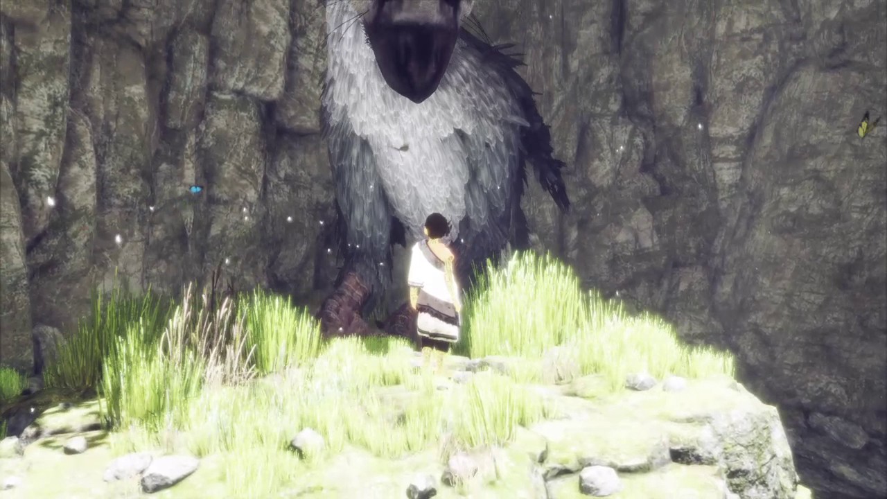 Last Guardian, The (2016)  AFA: Animation For Adults : Animation News,  Reviews, Articles, Podcasts and More