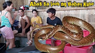 Nakakatakot napasok ng ahas ang aking bahay kubo | snake entered my house