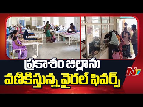 Prakasam District : ప్రకాశం జిల్లాను వణికిస్తున్న వైరల్ ఫివర్స్ | Andhra Pradesh | NTV Telugu - NTVTELUGU