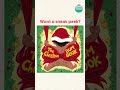 The Christmas Bum Book рџЋЃрџЋ New Book Alert ABC Kids Shorts The Christmas Bum Book рџЋЃрџЋ New Book Alert ABC Kids Shorts