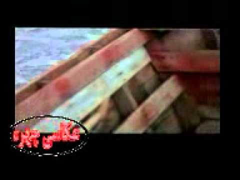 قصه دلها
