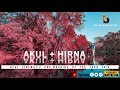 Akul+hirna | PreWedding | best cinematic pre wedding | 2018