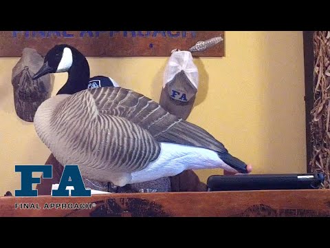 Final Approach HD Full Body Honkers with Flocked Heads Decoy 6 Pack 