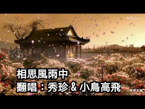 相思風雨中……流行經典翻唱(秀珍&小鳥高飛)歡迎訂閱