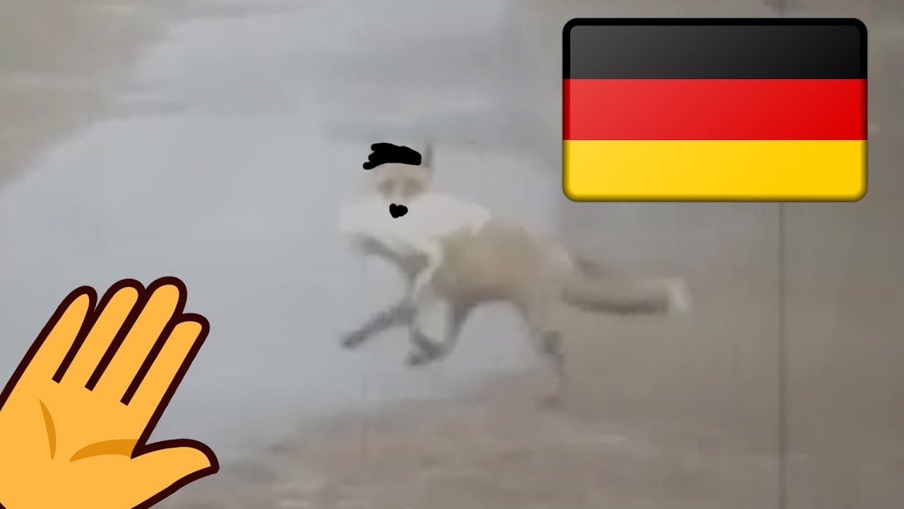 Вибратор ах ах. Маленькая собака с флагом Германии Мем.