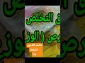 طرق التخلص من الابراص الوزغ والفئران بطريقه صحيه طرق التخلص من الابراص الوزغ والفئران بطريقه صحيه