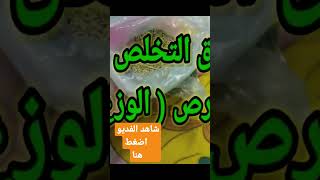 طرق التخلص من الابراص ( الوزغ ) والفئران بطريقه صحيه