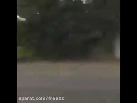 درگ رنو تالیسمان و جنسیس