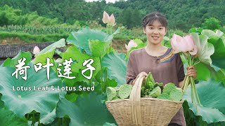 荷花是个好东西，美丽又美味|A variety of food made from lotus flowers|【杨大碗】